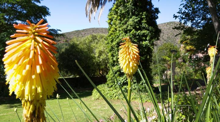 De Oude Meul Country Lodge