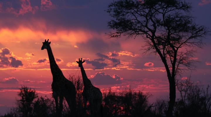 Paradise River Lodge