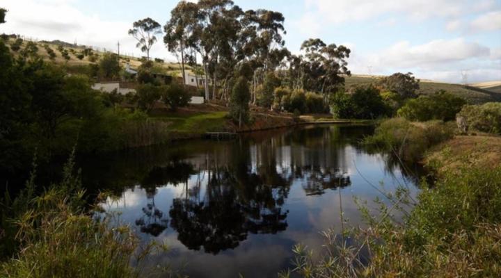 Cornellskop Farm Stay