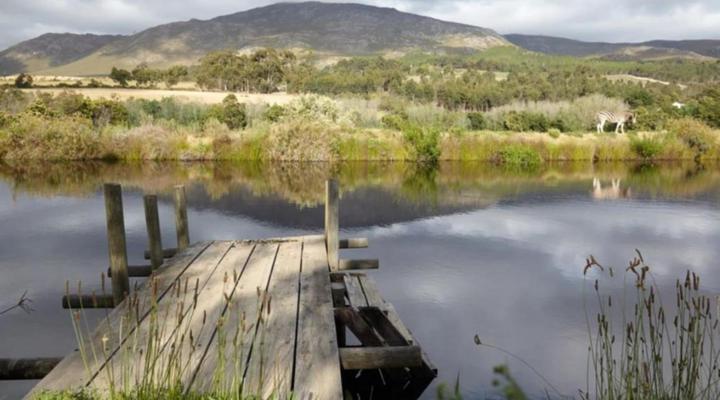 Cornellskop Farm Stay