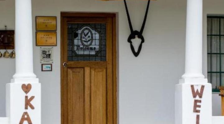 Olive Grove Guest Farm