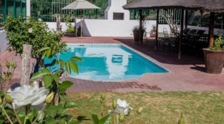 Olive Grove Guest Farm