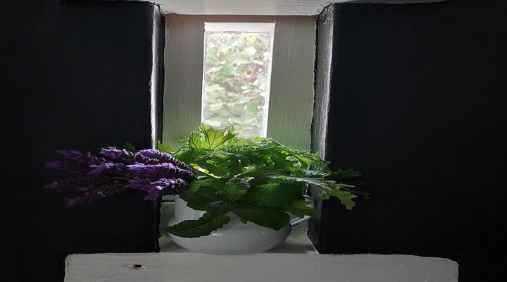 Kimi's Self-Catering Guest Cottage