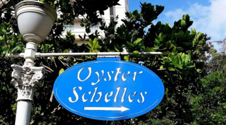703 Oyster Schelles