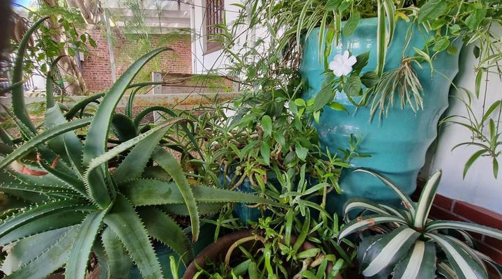 Schuilhoek Garden Terraces - Self Catering