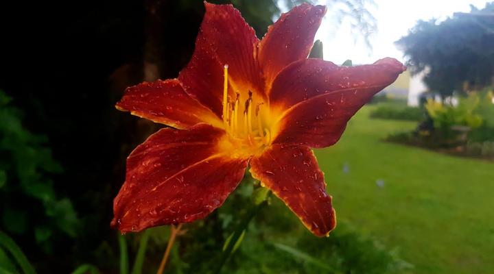 Paradise View Guesthouse