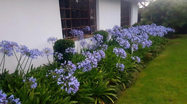 Paradise View Guesthouse