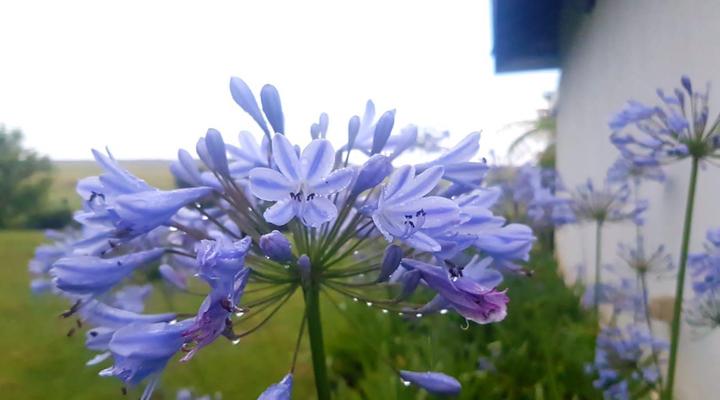 Paradise View Guesthouse