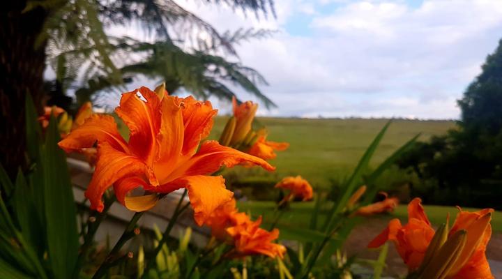 Paradise View Guesthouse