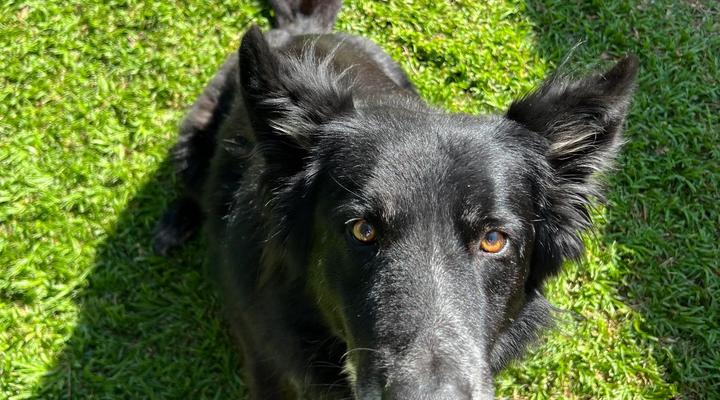 Pan's Breeze Overnight Accommodation