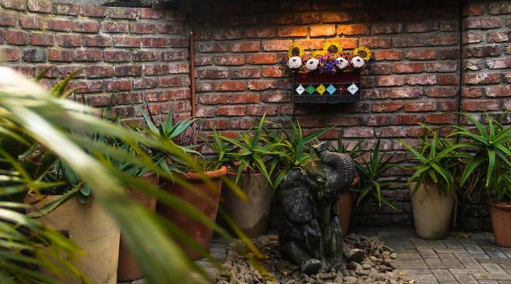 Treetops Guest House