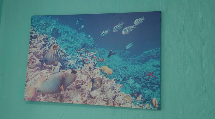 The Kings ocean view