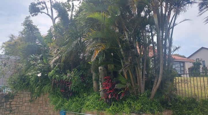 The Kings ocean view