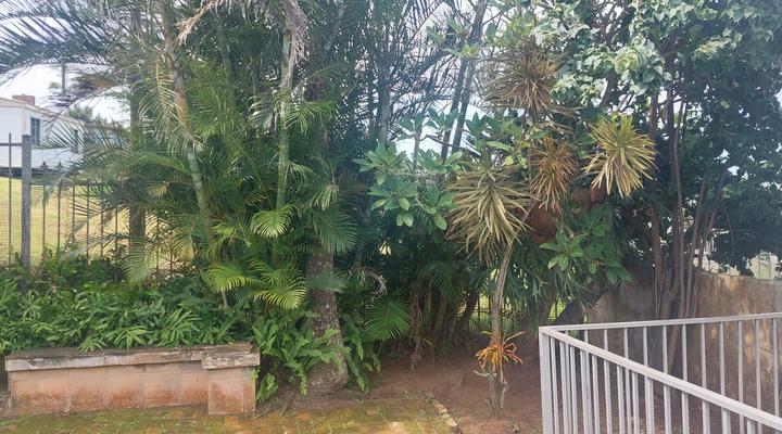 The Kings ocean view