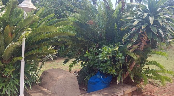 The Kings ocean view