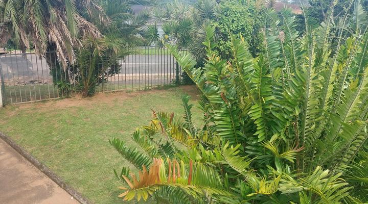 The Kings ocean view