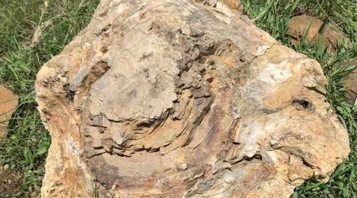 Mvemve Lodge at GrootPoort