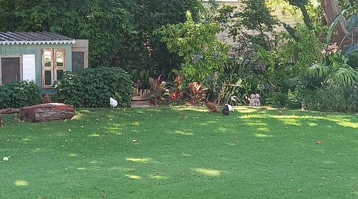 La Pension Guest House