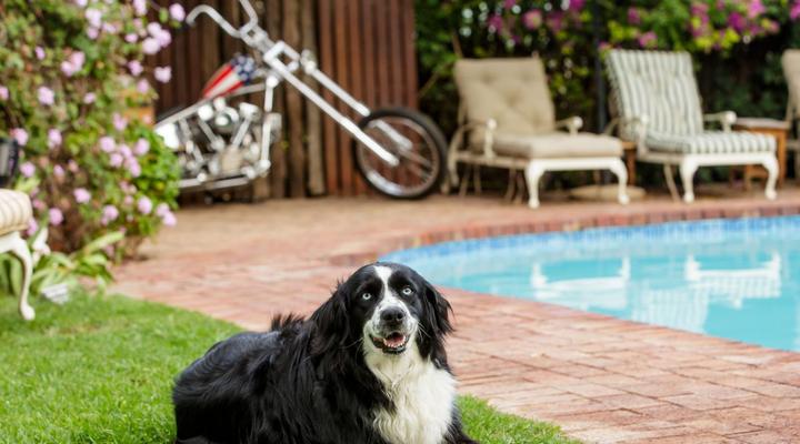 La Pension Guest House