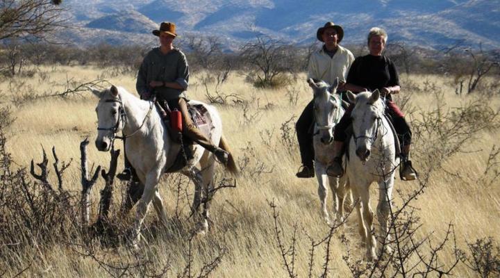 Duesternbrook Safari Guest Farm