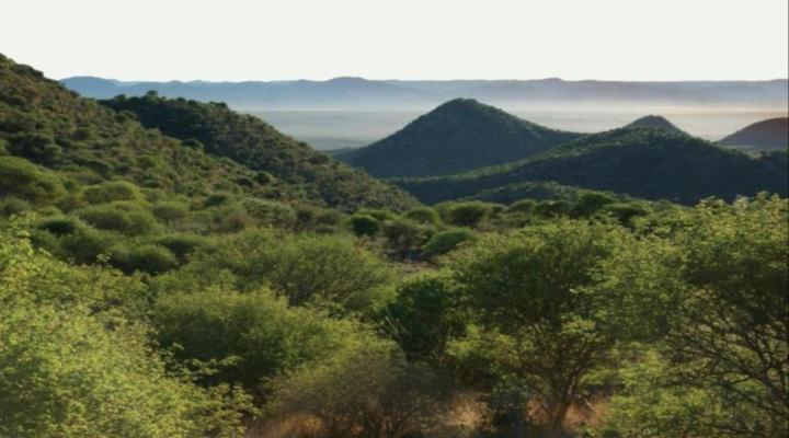 Duesternbrook Safari Guest Farm
