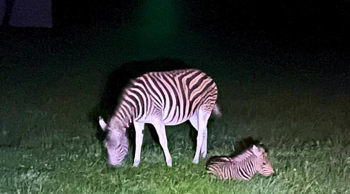 Trout and Nature Haven, Walkersons
