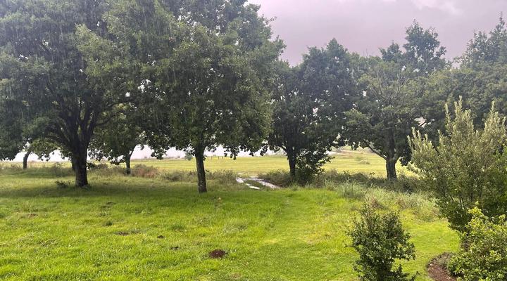 Trout and Nature Haven, Walkersons