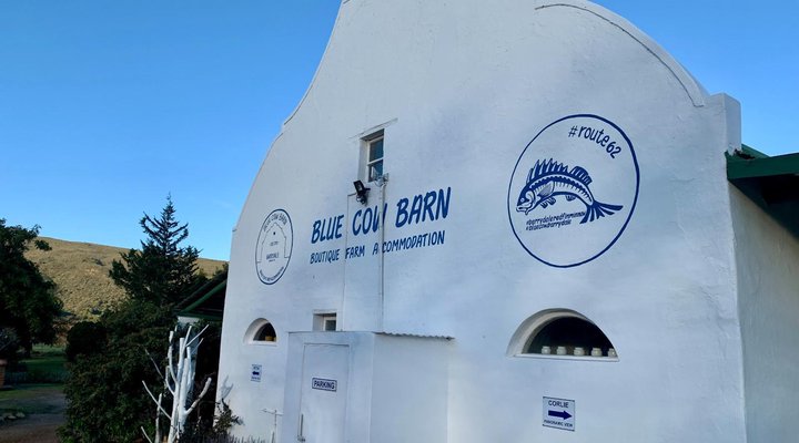 The Blue Cow Barn - Boutique Farm Accommodation 