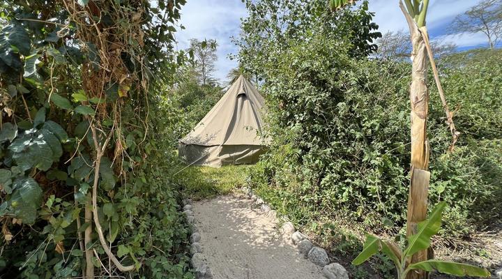 The Jungle Pearl Resort