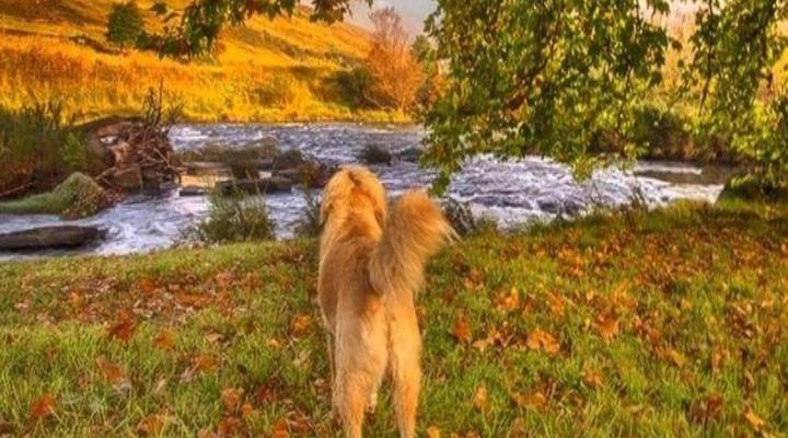 Umzimkulu River Lodge