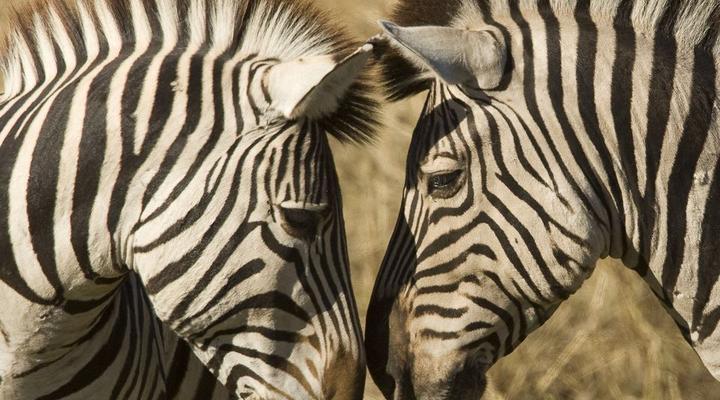 Palala River Cottage