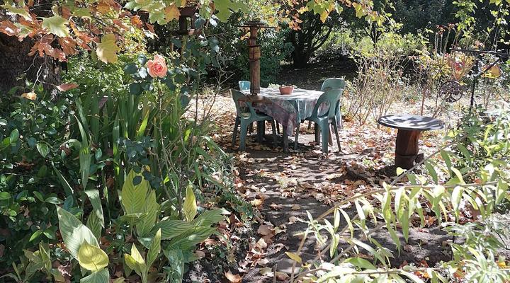 AMANI GUEST HOUSE CLARENS