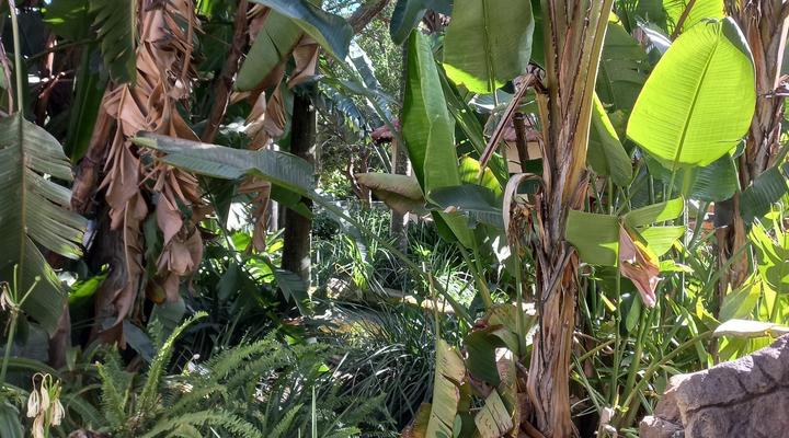 Tropicana Lodge & Function Venue