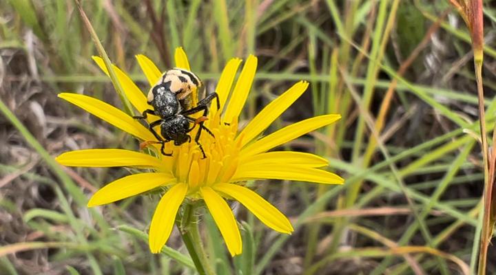 Pan's Breeze Overnight Accommodation