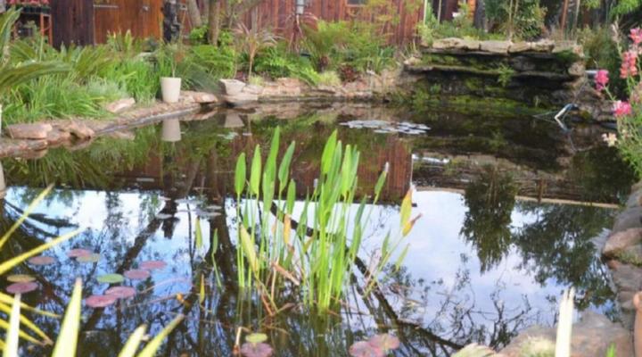 Fiore Guest Accommodation