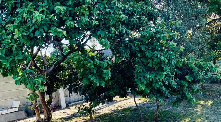 Le Lieu Accommodation