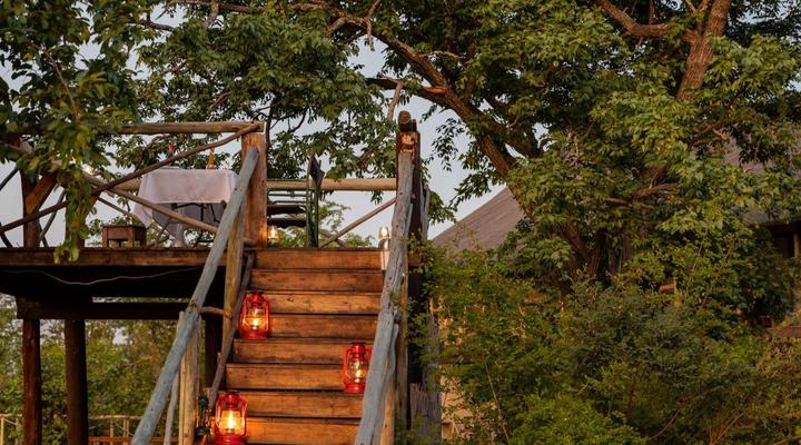 Chobe Mopani Forest Lodge