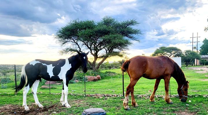 Naauwpoort Guest Farm