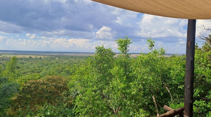 Mahala View