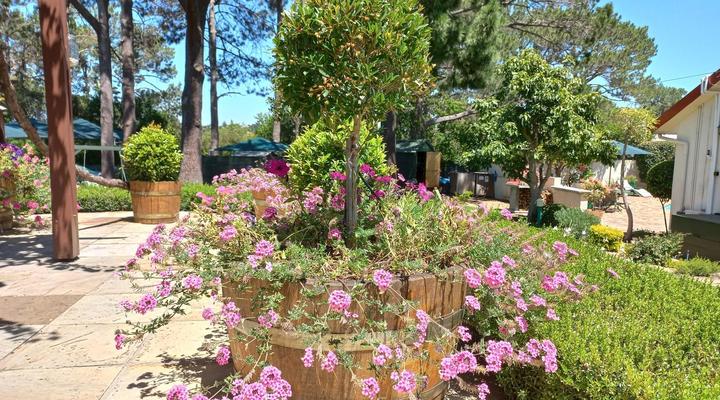 Wine Route 44 Guesthouse