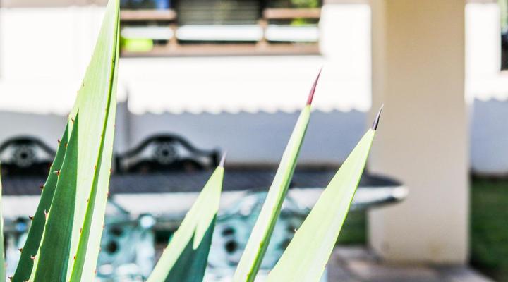 Casabella Guest House