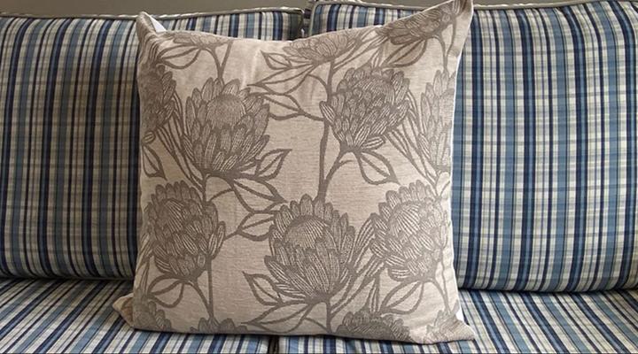 Bokkie in Paternoster