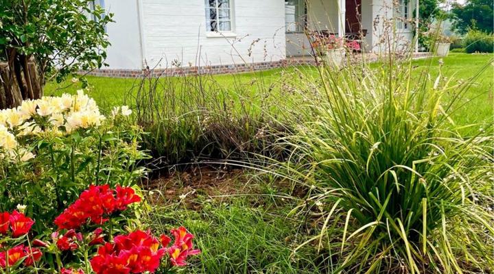 Bellevue Berg Cottage