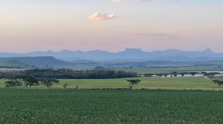 Bellevue Berg Cottage