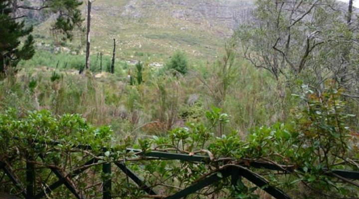 Kierie Kwaak Self-catering Cottages
