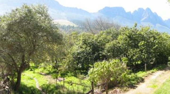 Kierie Kwaak Self-catering Cottages