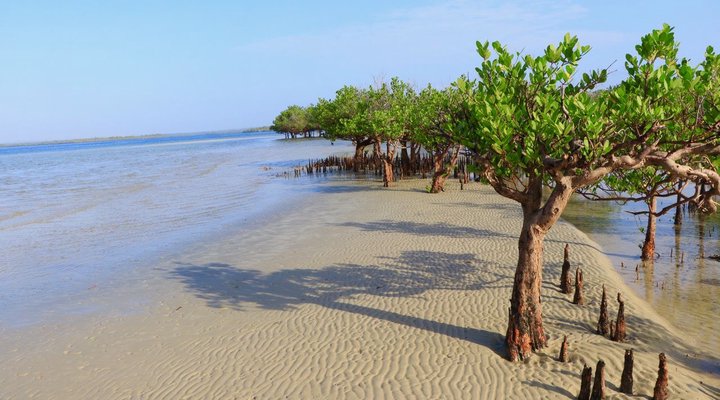 The Funzi Keys Resort