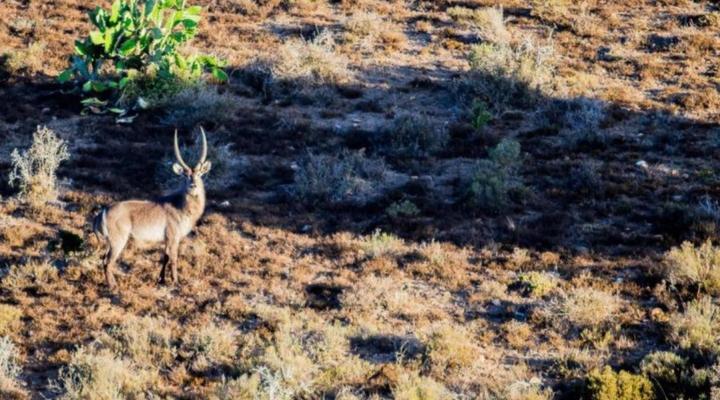 The Ranch House at African Safari Lodge