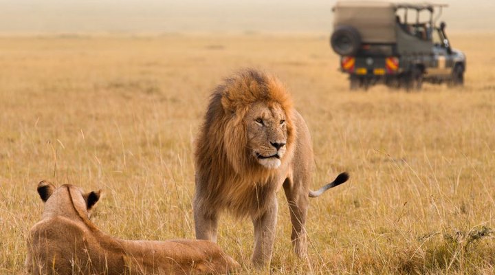 4 Nights 2 pax Safari Package