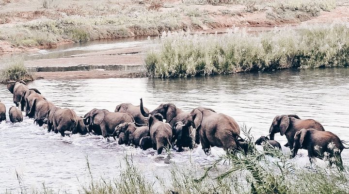 4 Nights 2 pax Safari Package